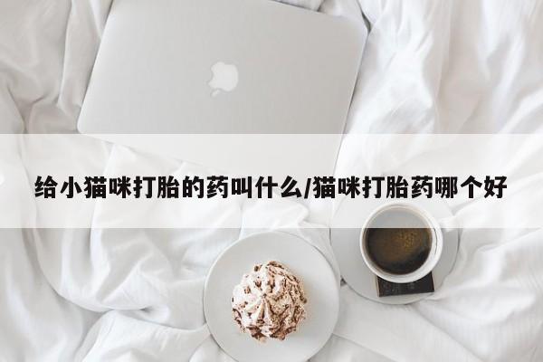 堕胎药怎么买给小猫咪打胎的药叫什么/猫咪打胎药哪个好
