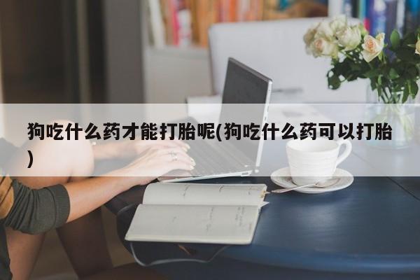 堕胎药怎么买狗吃什么药才能打胎呢(狗吃什么药可以打胎)