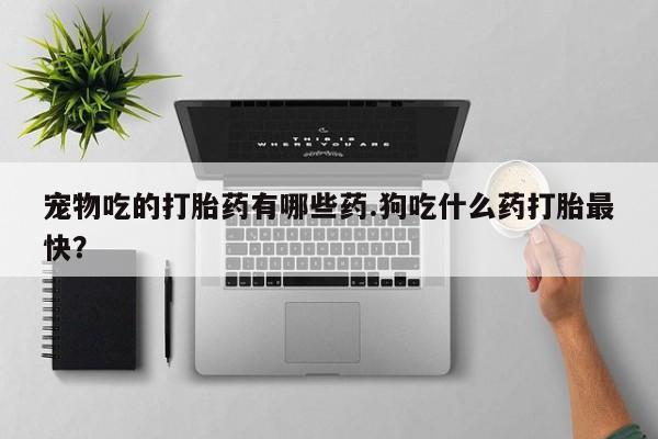 堕胎药怎么买动态 第24页