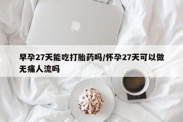 堕胎药怎么买早孕27天能吃打胎药吗/怀孕27天可以做无痛人流吗