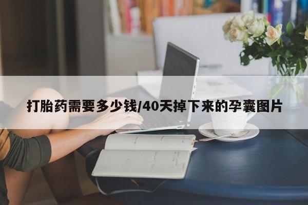 堕胎药怎么买打胎药需要多少钱/40天掉下来的孕囊图片